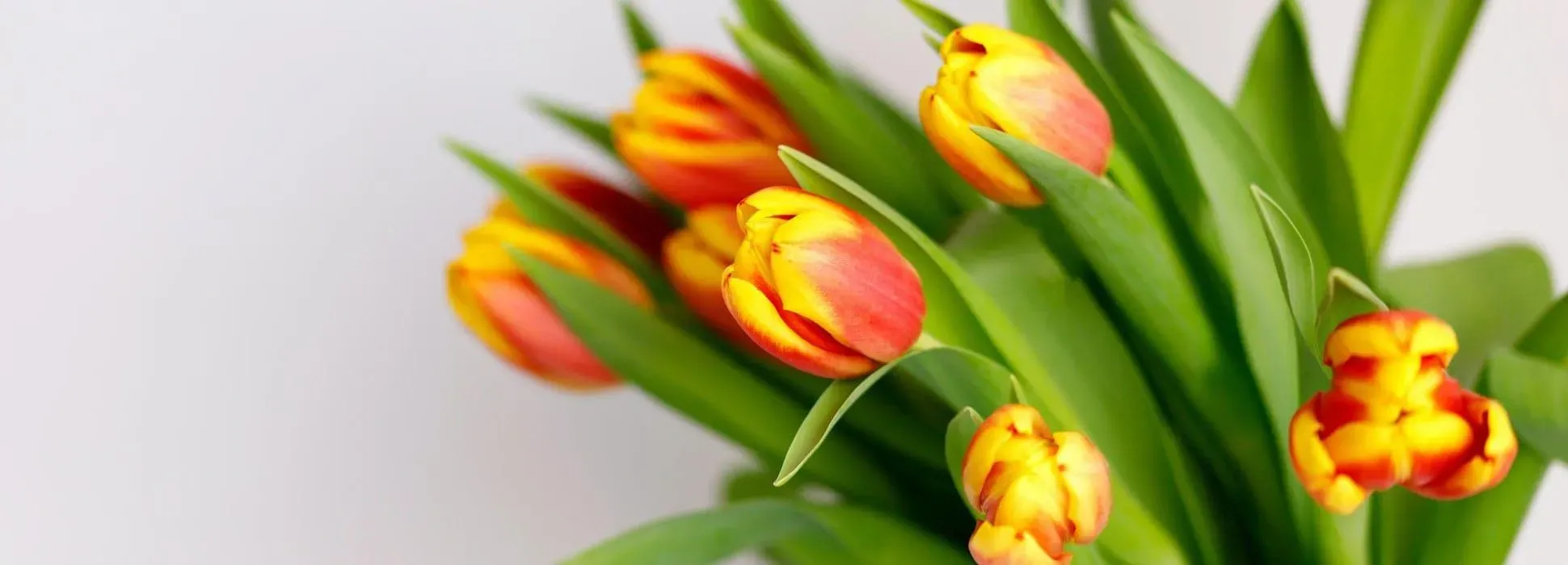 L'Atelier Floral Parisien : compositions florales pas cher